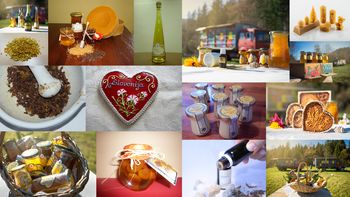 OKREPIMO SE S ČEBELJIMI PRIDELKI IN IZDELKI IZ ČEBELJIH PRIDELKOV