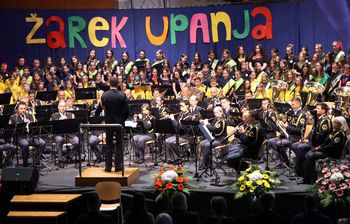 Na koncertu "Žarek upanja za otroški nasmeh" zbrali 12.300 evrov