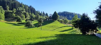 50 let koče na Čreti