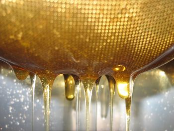Uživanje medu pri sladkorni bolezni