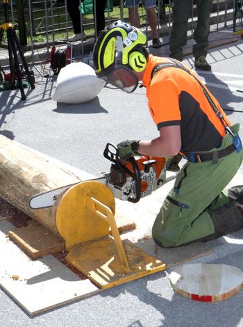 Sekaško tekmovanje, za večjo varnost v gozdu