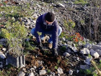 Zasadimo prihodnost: čas je za medovite rastline Zasadimo prihodnost: čas je za medovite rastline