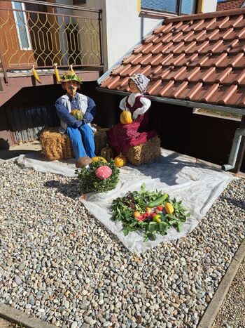 Jesen je prišla v Društvo upokojencev Kidričevo