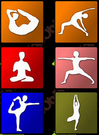 Joga La Vita - vadba hatha joge