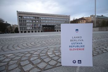 Lahko berljiva ustava