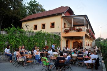 Večer vina in poezije v Hiši frankinje