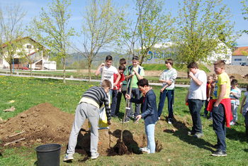 Eko dan na "Slomšku"
