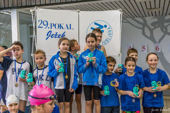 29. Pokal Ježek