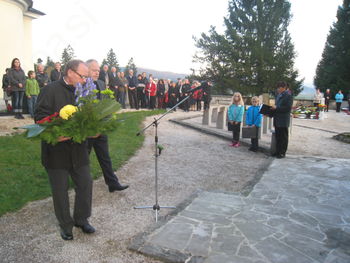 Lučke in bele krizanteme