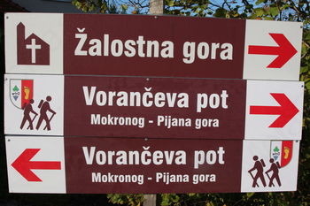 18. VORANČEVA POT od Mokronoga do Pijane gore, 18.10.2014