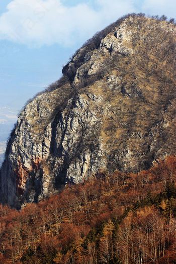 Praznične Novice izpod Krvavice