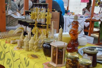 Koledar prireditev 2017