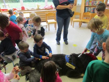 TERAPEVTSKI PES SLOVENSKEGA DRUŠTVA "TAČKE POMAGAČKE" V VRTCU ČEBELICE