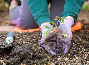 PREDSTAVITEV NARAVNIH PREPARATOV ZA VINOGRADNIKE, VRTNARJE, KMETE