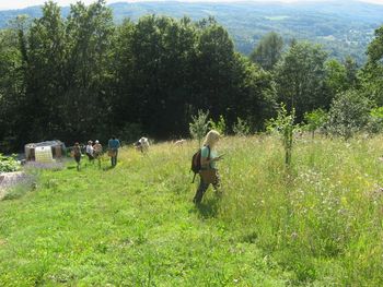Nabiranje zelišč na LISCU z ga Jožico Bajc Pivec