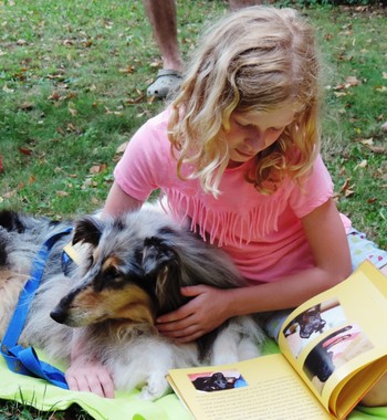 Beremo s tačkami_postani boljši bralec