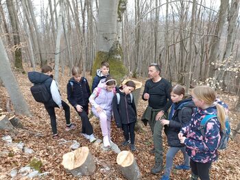 Gozdni sprehod z revirnim gozdarjem