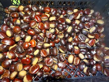 Kostanjev pohod v jesenskih barvah