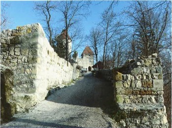 Svobodni gospodje Žovneški do povišanja v grofe