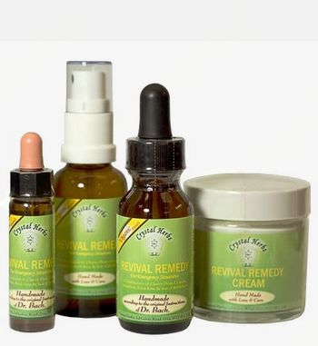 Bachove cvetne kapljice kot oblika čustvene pomoči