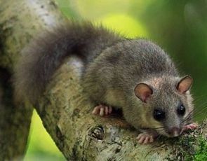 Pravljična ura v Občinski knjižnici Braslovče