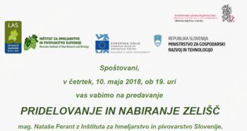 Predavanje Pridelovanje in nabiranje zelišč v Občinski knjižnici Vransko