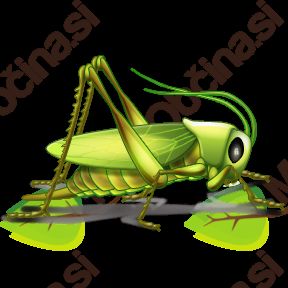 Pravljična ura v Občinski knjižnici Prebold