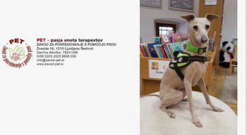 PRAVLJIČNA URA S TERAPEVTSKIM PSOM V OBČINSKI KNJIŽNICI BRASLOVČE