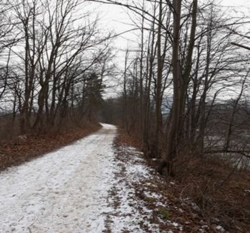 VEČER ZA DUŠO: TOPLE ZGODBE ZA MRZLE ZIMSKE DNI