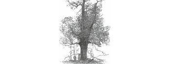 Pogovorni večer in odprtje razstave: »Drevo življenja«