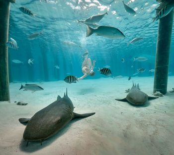 S knjižnico po svetu: Bahami, karibski paradiž