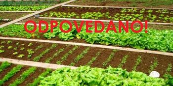 ODPOVEDANO! Zelenjavni vrt spomladi - strokovno predavanje MIŠE PUŠENJAK