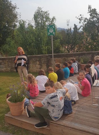 Evropski teden mobilnosti: s kolesom in peš