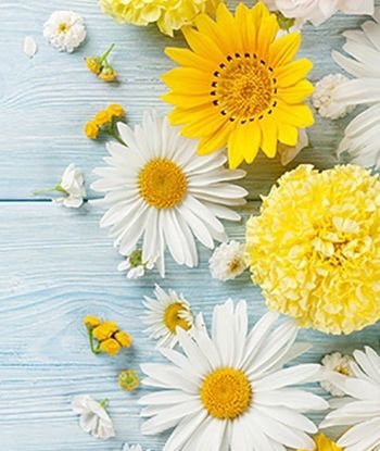 Novosti v Občinski knjižnici Tabor, maj 2021