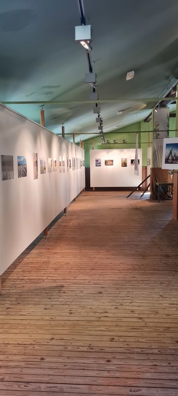 60 let ustanovitve Hmezada