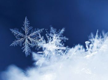 Novosti v Občinski knjižnici Tabor, januar 2022