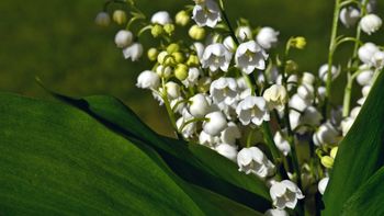 Novosti v Občinski knjižnici Tabor, maj 2022