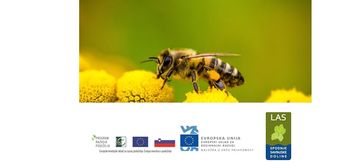 Pravljična sreda v Občinski knjižnici Braslovče