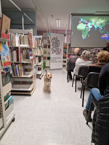 Oliver Tič – Oli Walker: Peš od Argentine do Aljaske