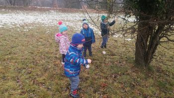 Vrabčkova zimska pesem  (M. Voglar)