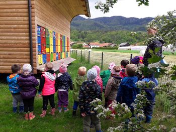 Čebele in turizem v vrtcu Vransko