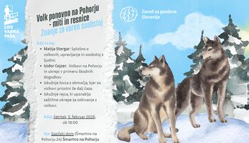 Vabilo: Volk ponovno na Pohorju – miti in resnice Znanje za varen sobostoj