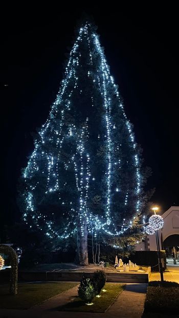 Prižig novoletnih lučk v Oplotnici na grajskem dvorišču