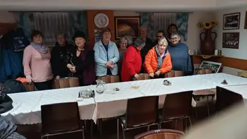 Pripravili smo Drenovo mazilo.