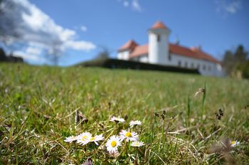 Sprehod po grajskem travniku
