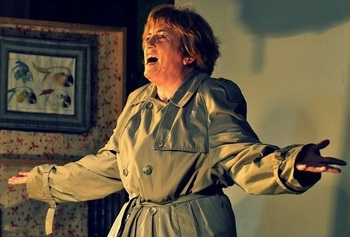 Ničesar ne obžalujem, monoigra