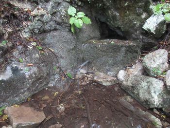 VABILO NA 7. POHOD PO POTEH STAROVERCEV