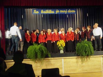 Taščice v Artičah