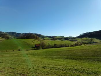 Mejice kot podpora biotski raznolikosti, ohranjanju tradicionalnega in izginjajočega kulturnega vzorca slovenskega podeželja ter zagotavljanju ekosistemskih storitev - EIP 16.5 Mejice