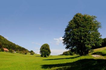 Javni razpis za pomoč majhnim kmetom v višini 20 milijonov evrov MKGP